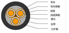 3*2.5，3*3，3*4，3*6，3*10，3*16，3*25屏蔽電纜結構圖