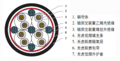 WDZA-HDKYJY核電站用交聯(lián)聚烯烴絕緣無(wú)鹵低煙阻燃A級(jí)控制電纜