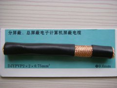 DJYPVP 2*2*0.75 分屏蔽、總屏蔽電子計(jì)算機(jī)屏蔽電纜